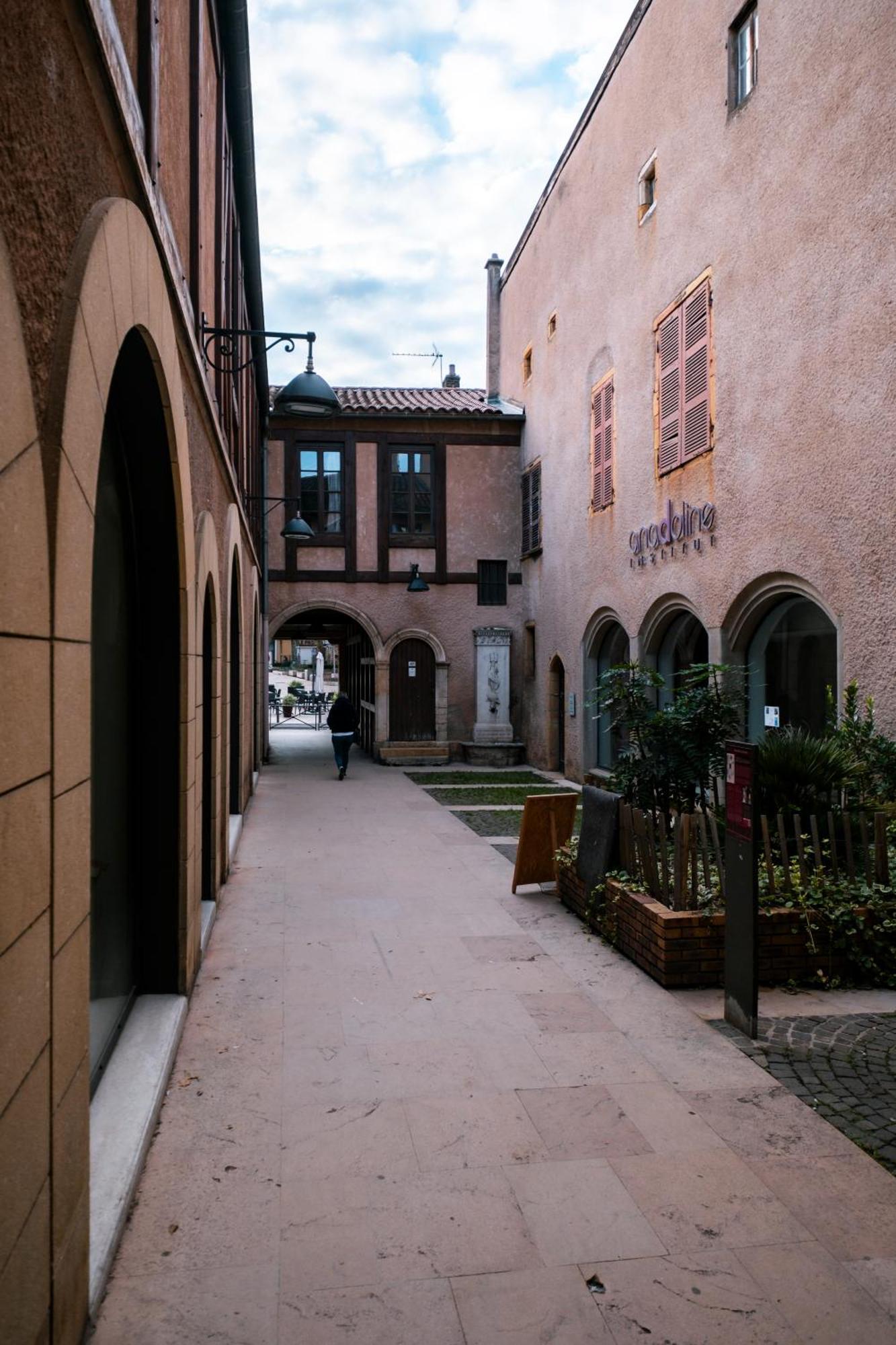 Mercure Villefranche-Sur-Saone Villefranche-sur-Saône Exterior foto